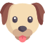 Pati Plus: Köpek Sigortası